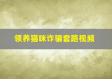 领养猫咪诈骗套路视频