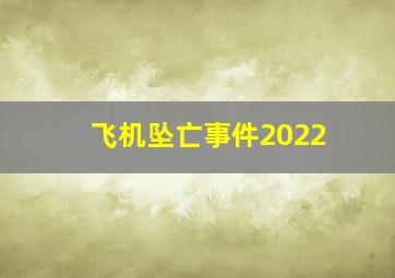 飞机坠亡事件2022