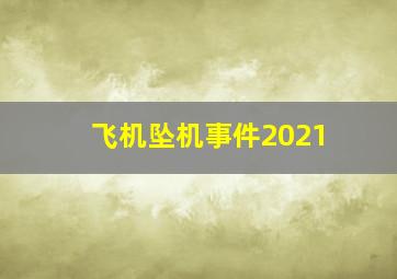 飞机坠机事件2021