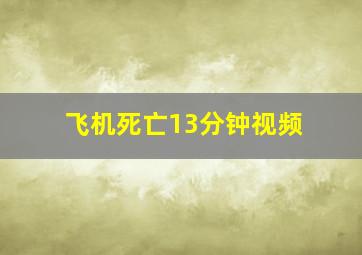 飞机死亡13分钟视频