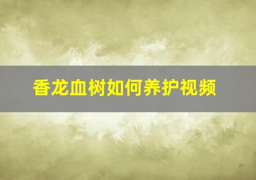 香龙血树如何养护视频