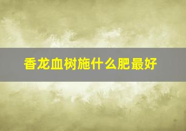 香龙血树施什么肥最好