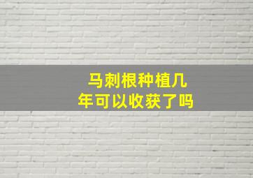 马刺根种植几年可以收获了吗