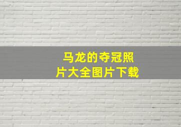 马龙的夺冠照片大全图片下载