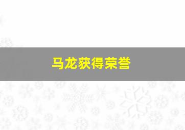 马龙获得荣誉