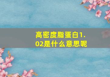 高密度脂蛋白1.02是什么意思呢