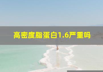 高密度脂蛋白1.6严重吗