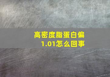 高密度脂蛋白偏1.01怎么回事