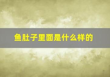 鱼肚子里面是什么样的