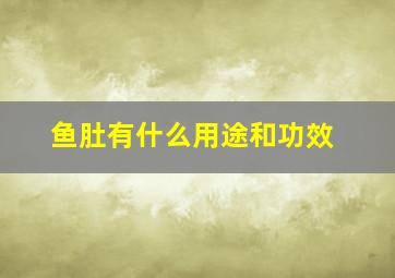 鱼肚有什么用途和功效