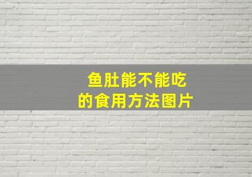 鱼肚能不能吃的食用方法图片