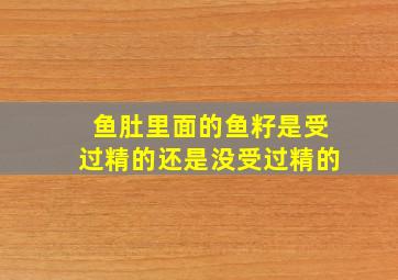 鱼肚里面的鱼籽是受过精的还是没受过精的