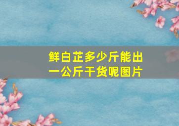 鲜白芷多少斤能出一公斤干货呢图片