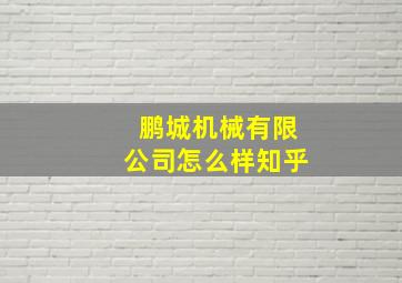 鹏城机械有限公司怎么样知乎