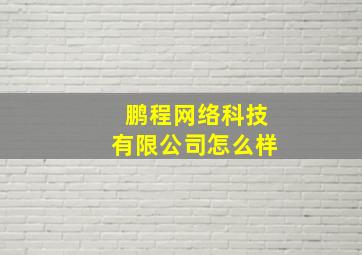 鹏程网络科技有限公司怎么样