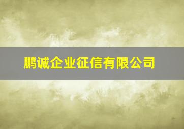 鹏诚企业征信有限公司