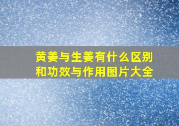 黄姜与生姜有什么区别和功效与作用图片大全