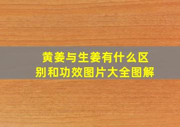 黄姜与生姜有什么区别和功效图片大全图解