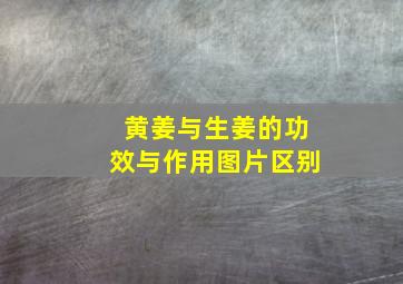 黄姜与生姜的功效与作用图片区别