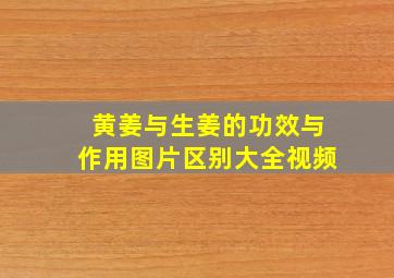 黄姜与生姜的功效与作用图片区别大全视频