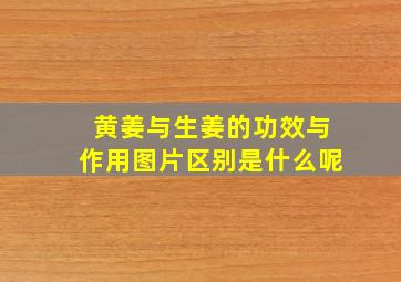 黄姜与生姜的功效与作用图片区别是什么呢