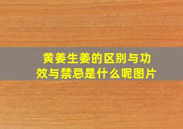 黄姜生姜的区别与功效与禁忌是什么呢图片