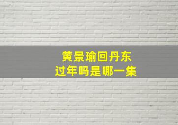 黄景瑜回丹东过年吗是哪一集