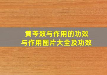 黄芩效与作用的功效与作用图片大全及功效