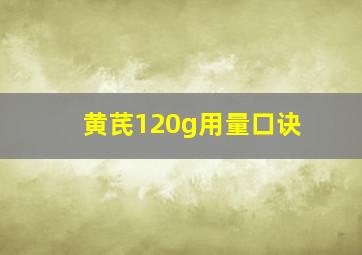 黄芪120g用量口诀