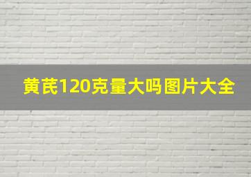 黄芪120克量大吗图片大全