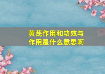 黄芪作用和功效与作用是什么意思啊