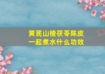 黄芪山楂茯苓陈皮一起煮水什么功效