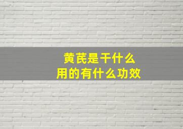 黄芪是干什么用的有什么功效