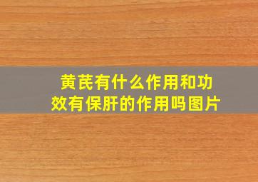 黄芪有什么作用和功效有保肝的作用吗图片