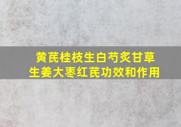 黄芪桂枝生白芍炙甘草生姜大枣红芪功效和作用