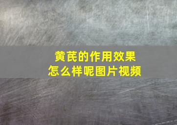 黄芪的作用效果怎么样呢图片视频