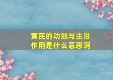 黄芪的功效与主治作用是什么意思啊