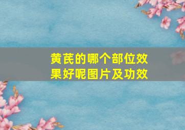 黄芪的哪个部位效果好呢图片及功效