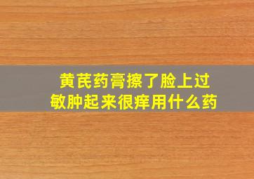 黄芪药膏擦了脸上过敏肿起来很痒用什么药