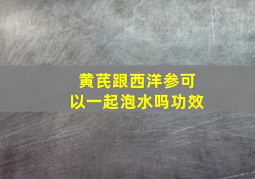 黄芪跟西洋参可以一起泡水吗功效