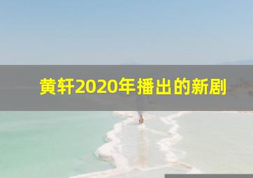 黄轩2020年播出的新剧