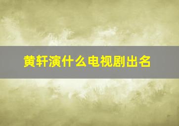 黄轩演什么电视剧出名