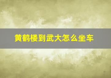 黄鹤楼到武大怎么坐车