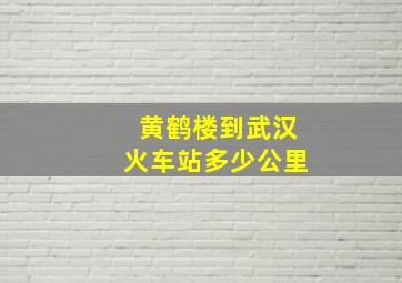 黄鹤楼到武汉火车站多少公里