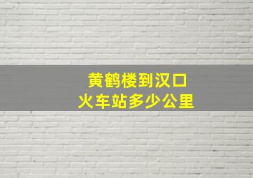 黄鹤楼到汉口火车站多少公里