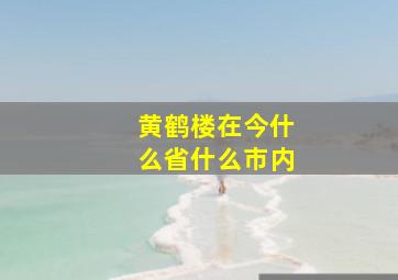 黄鹤楼在今什么省什么市内