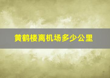 黄鹤楼离机场多少公里