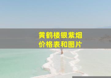 黄鹤楼银紫烟价格表和图片