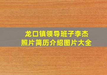 龙口镇领导班子李杰照片简历介绍图片大全