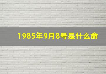 1985年9月8号是什么命